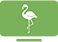 Logo Web TV