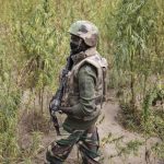 Image d'illustration