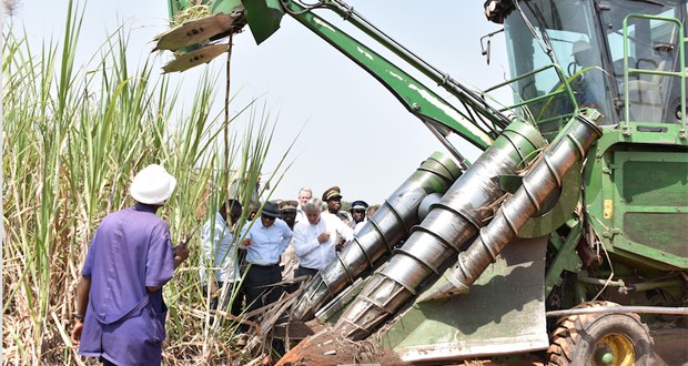 Sénégal : les importations de sucre reprennent dès le 15 juillet