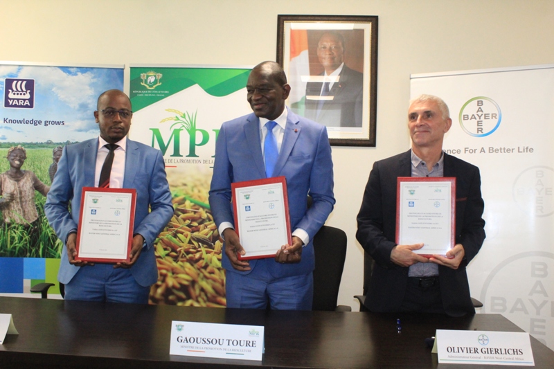 Signature d’un accord pour fournir des engrais spécialisés aux riziculteurs ivoiriens