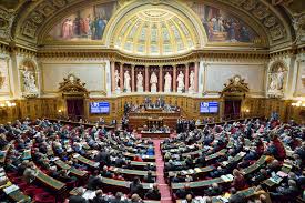 Sahel : Barkhane en débat au Sénat français