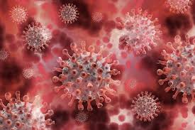 Le Maroc signale 24 souches du variant britannique du coronavirus