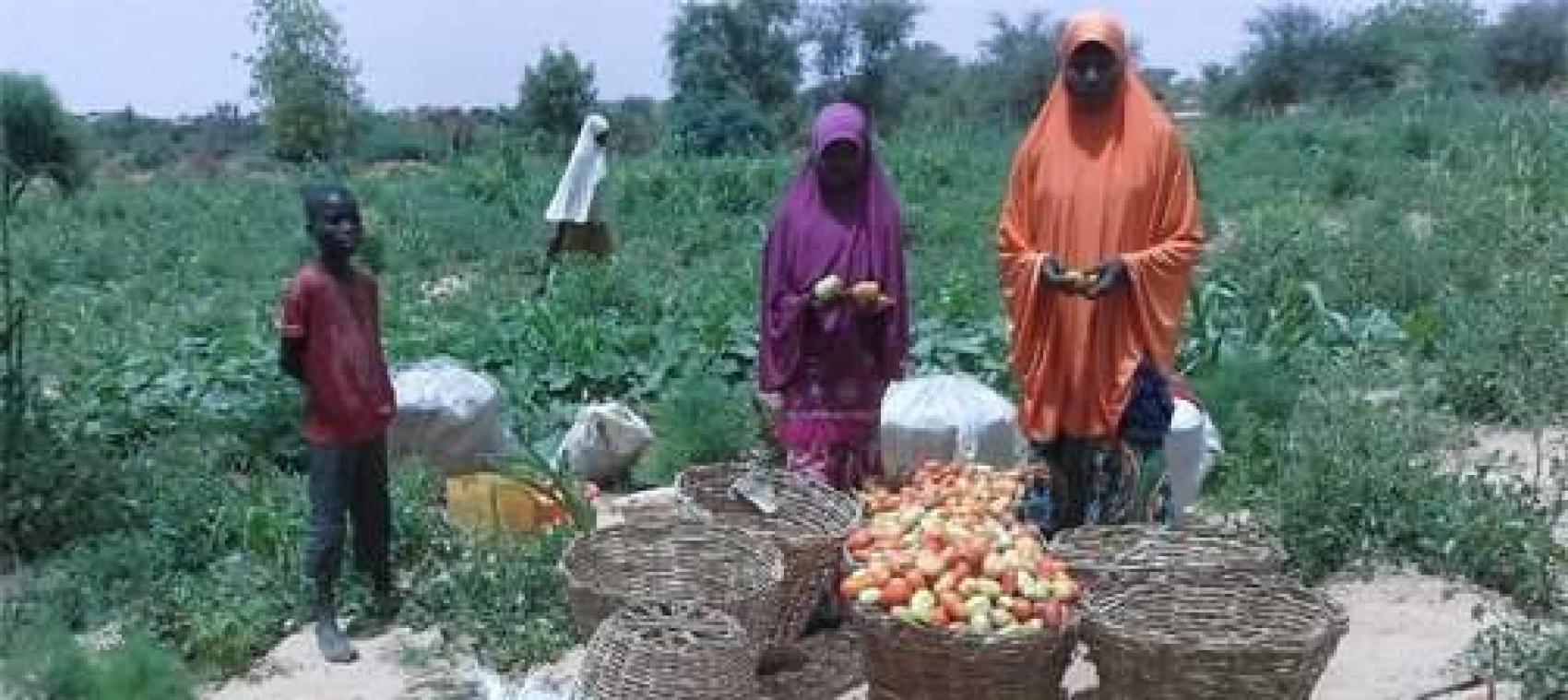 Niger : Paris soutient la résilience et la sécurité alimentaire
