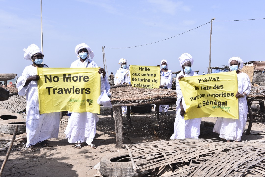 Sénégal : les transformatrices de poissons réclament une reconnaissance juridique
