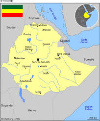 Aucun Ethiopien n’est enrôlé dans le conflit ukrainien (officiel)