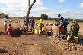 Corne de l’Afrique: plus de 250 millions de dollars pour protéger les enfants des effets de la sécheresse (UNICEF)