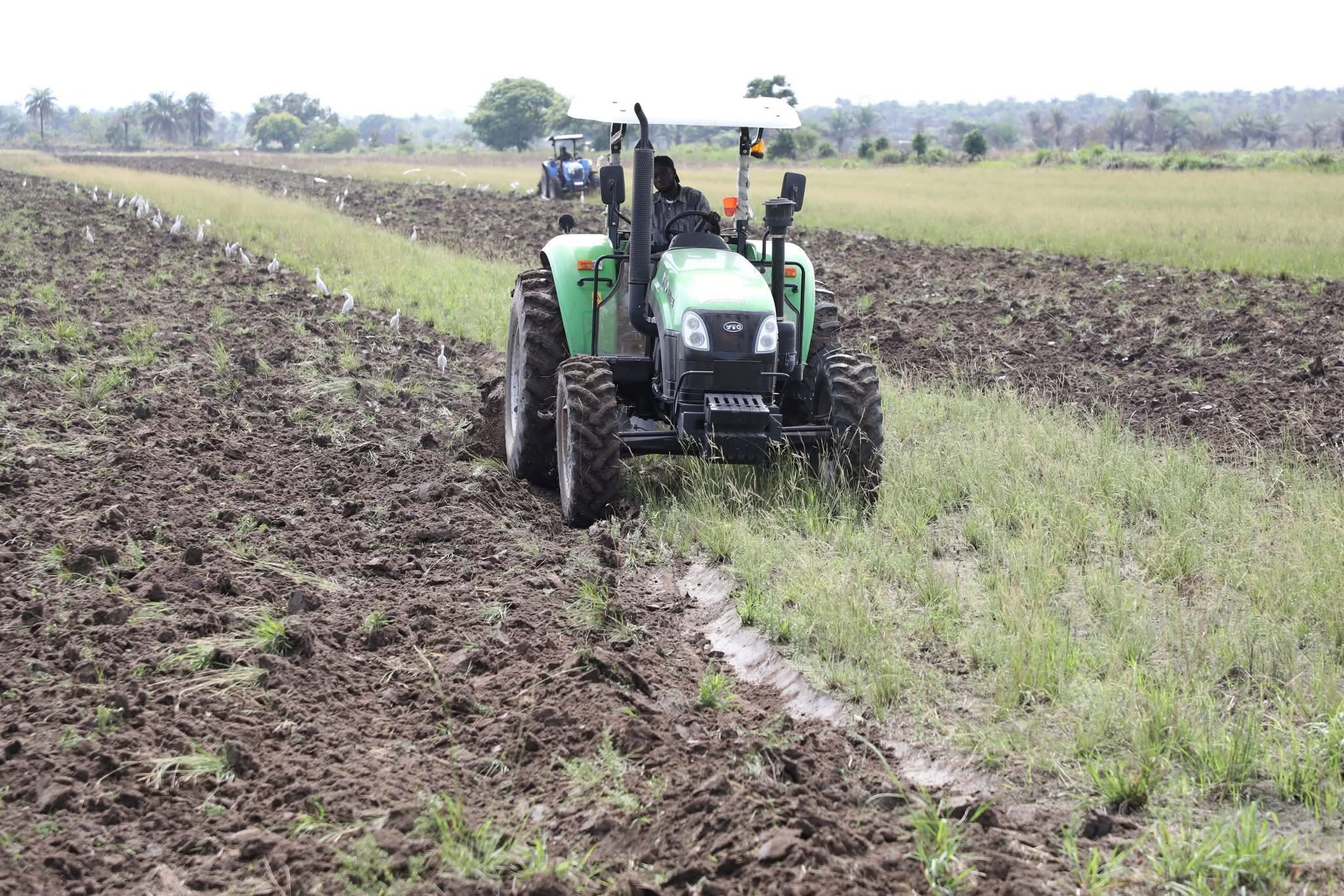 Sénégal : 20 ans d’innovations agricoles passés au crible pour accélérer la souveraineté alimentaire