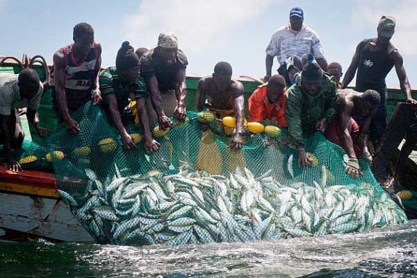 Impact des plateformes pétrolières sur la pêche au Sénégal : Appel à une indemnisation équitable des pêcheurs