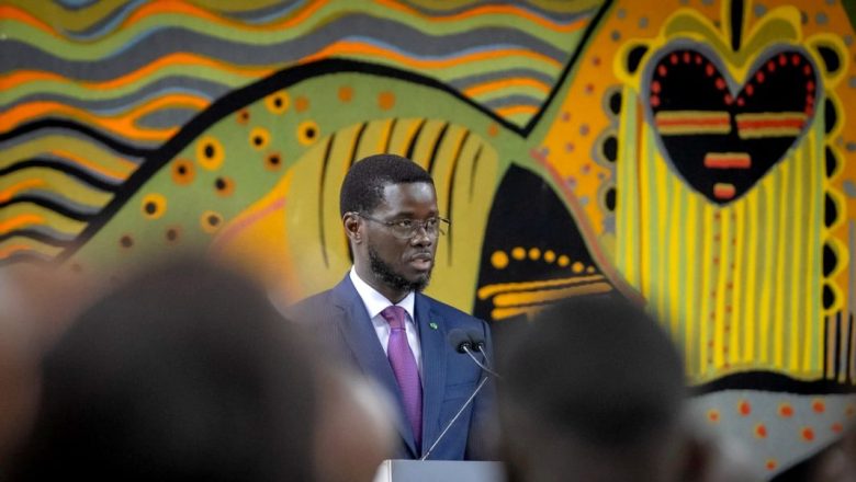 Laviesenegalaise