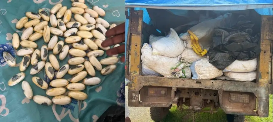 Sénégal : 1,5 kg de cocaïne saisis à Kédougou, les Douanes renforcent la surveillance
