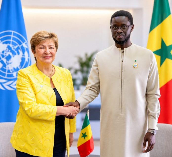 Laviesenegalaise
