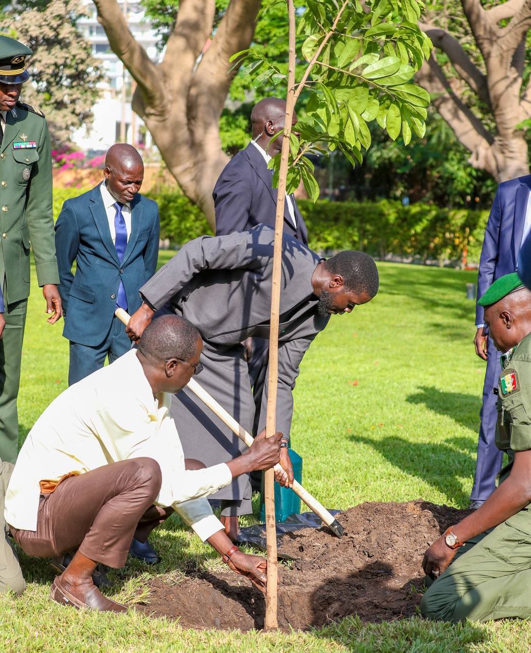 Le Sénégal s’engage pour la restauration des terres à l’occasion de la Journée Mondiale de l’Environnement