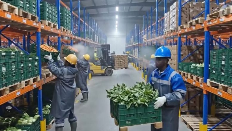 image d'illustration