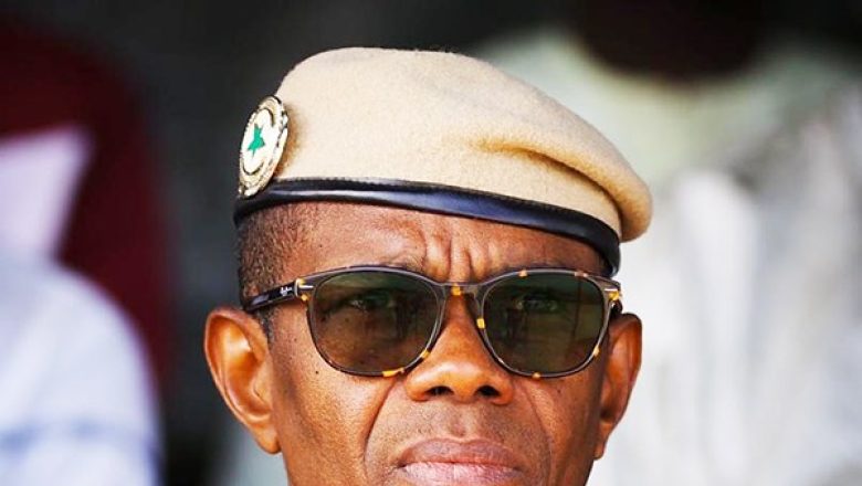 Laviesenegalaise