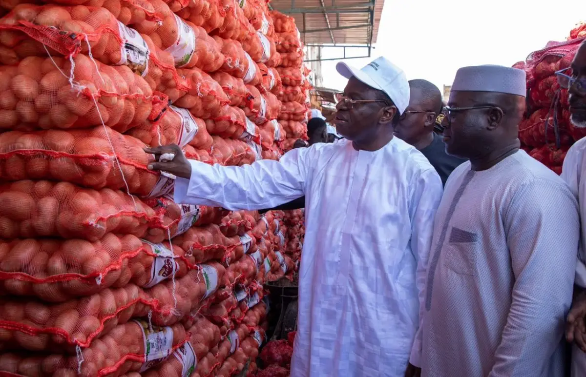 Sénégal : le gel des importations d’oignons officiellement levé après plus de sept mois