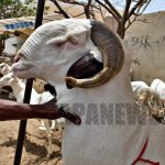 Agence de presse africaine