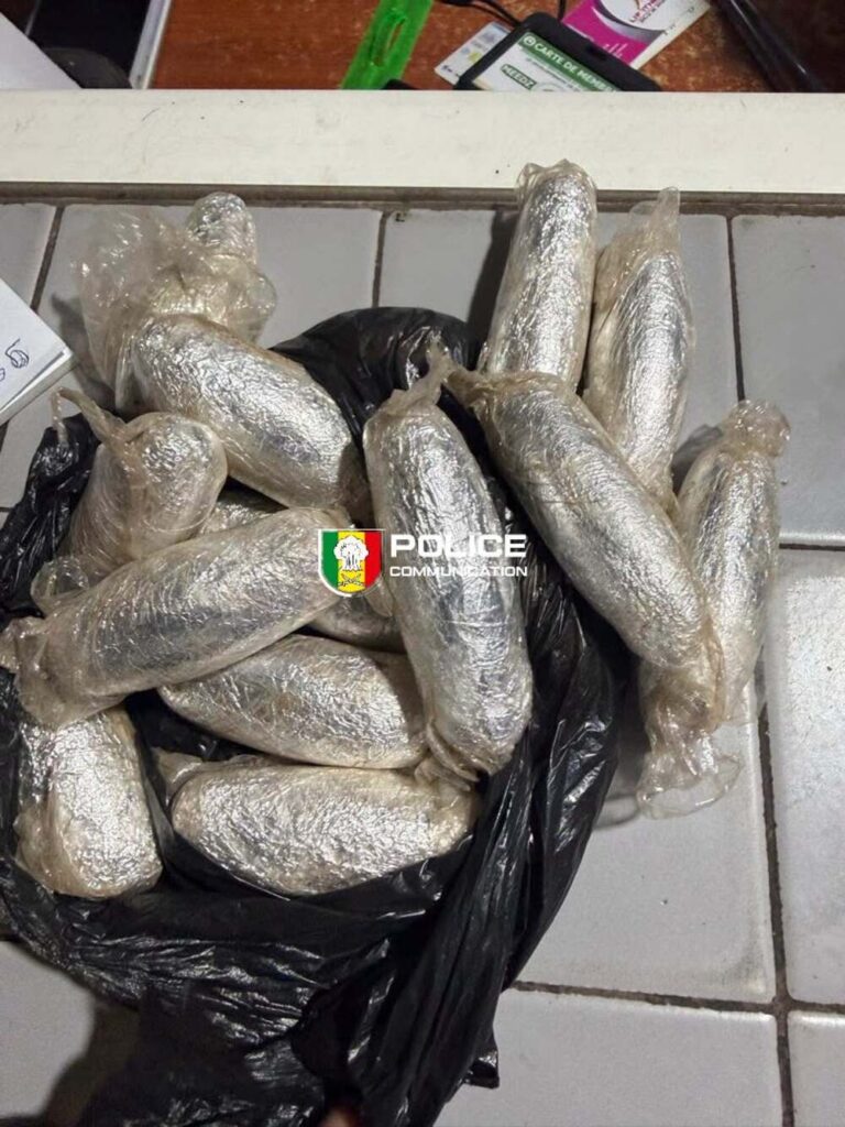 Sénégal : 205 grammes de cocaïne découverts au domicile d’un étudiant présumé