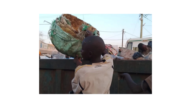 Image d'illustration