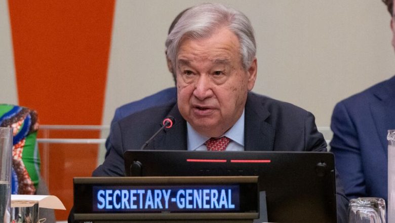 UN News